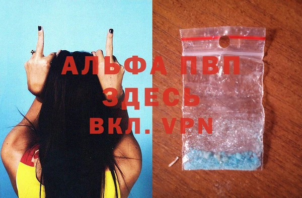 эйфоретик Аркадак