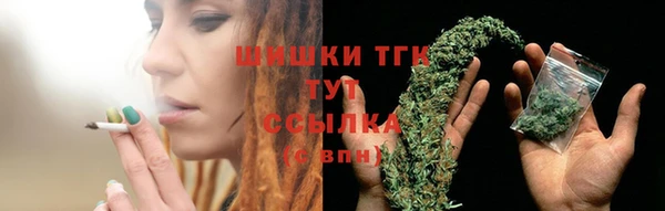 эйфоретик Аркадак