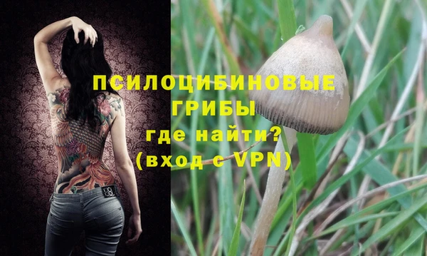 ALPHA PVP Арсеньев